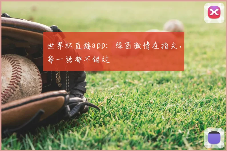 世界杯直播app:绿茵激情在指尖,每一场都不错过
