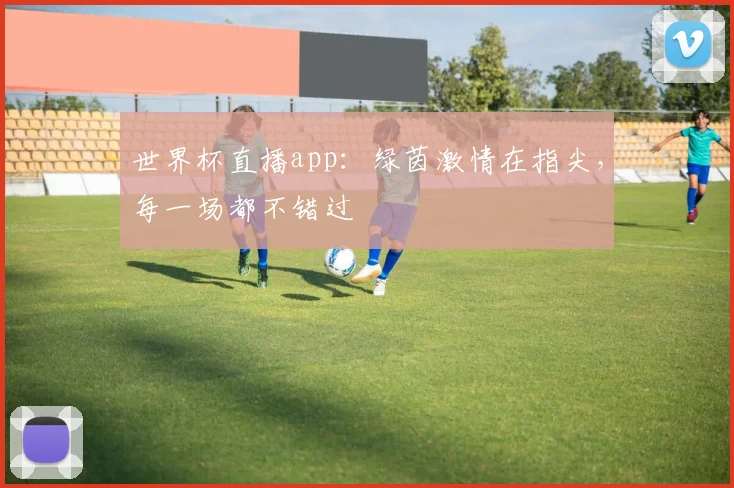 世界杯直播app:绿茵激情在指尖,每一场都不错过